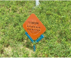 上海上海小区花草标识牌